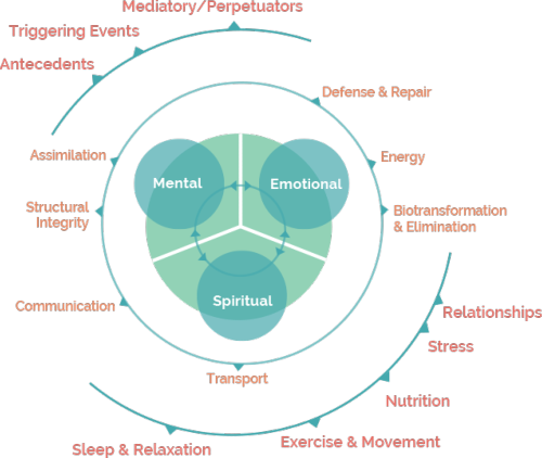Functional Medicine approach - The Wellness Pharmacy in London